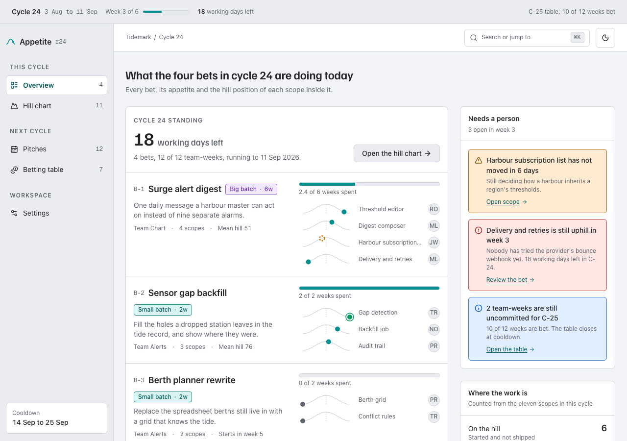 Appetite shape up project management dashboard template — home page