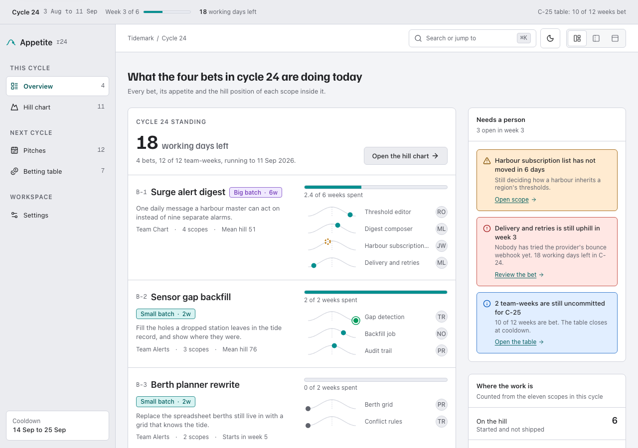 Appetite shape up project management dashboard template — home page