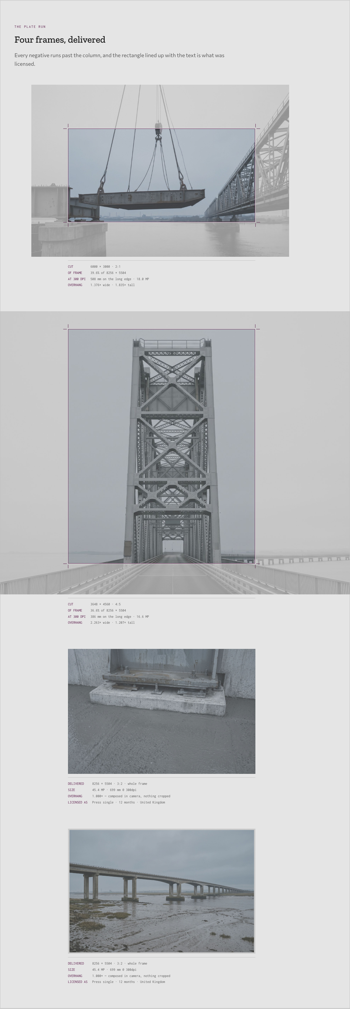 Bellows photography portfolio template Next.js — plate-run component