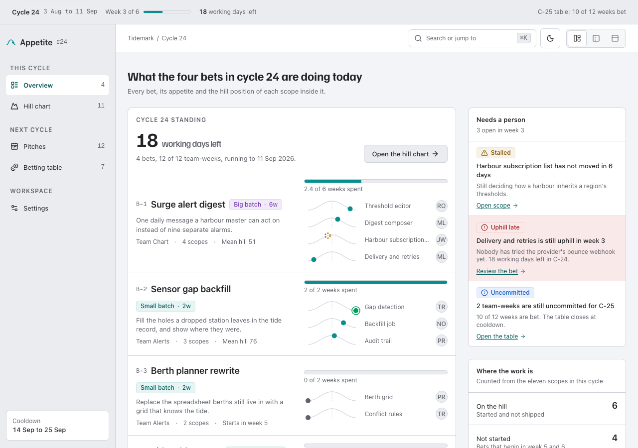 Appetite shape up project management dashboard template — home page