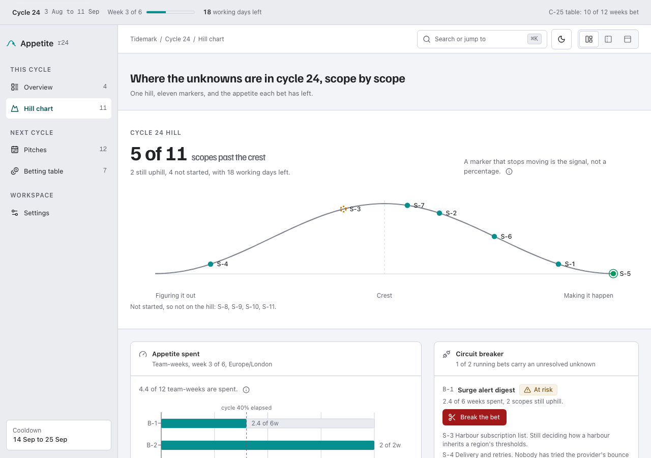 Appetite shape up project management dashboard template — cycle page