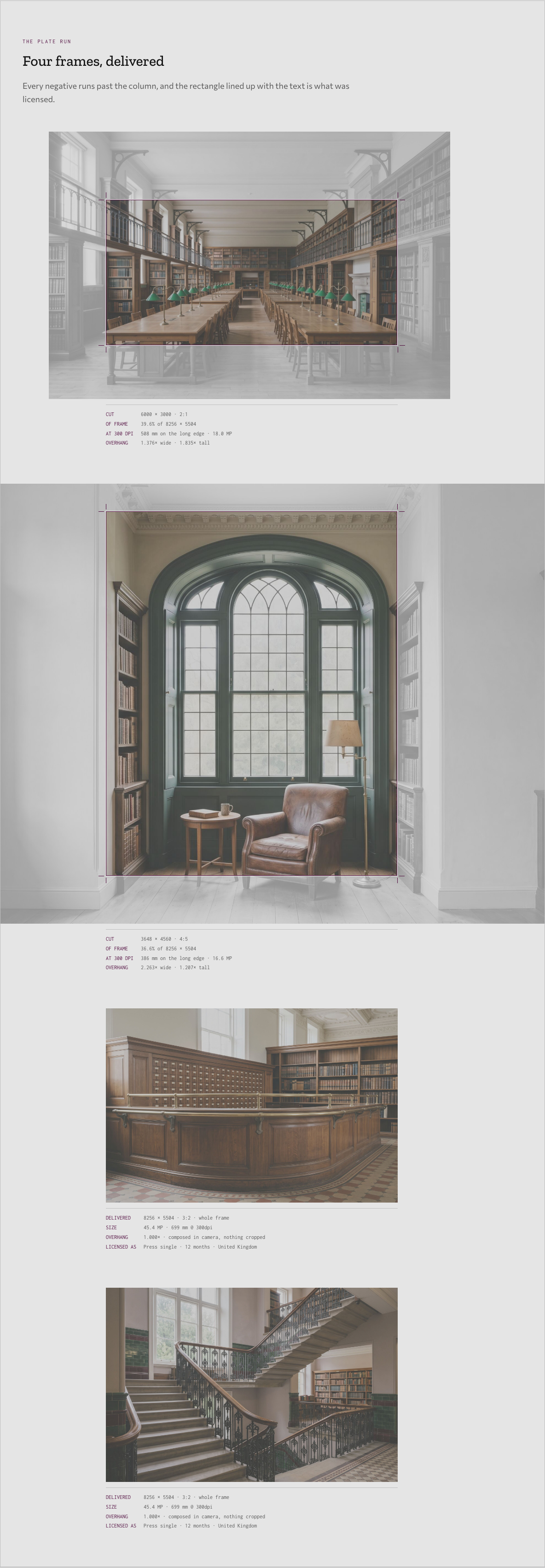 Bellows photography portfolio template Next.js — plate-run component