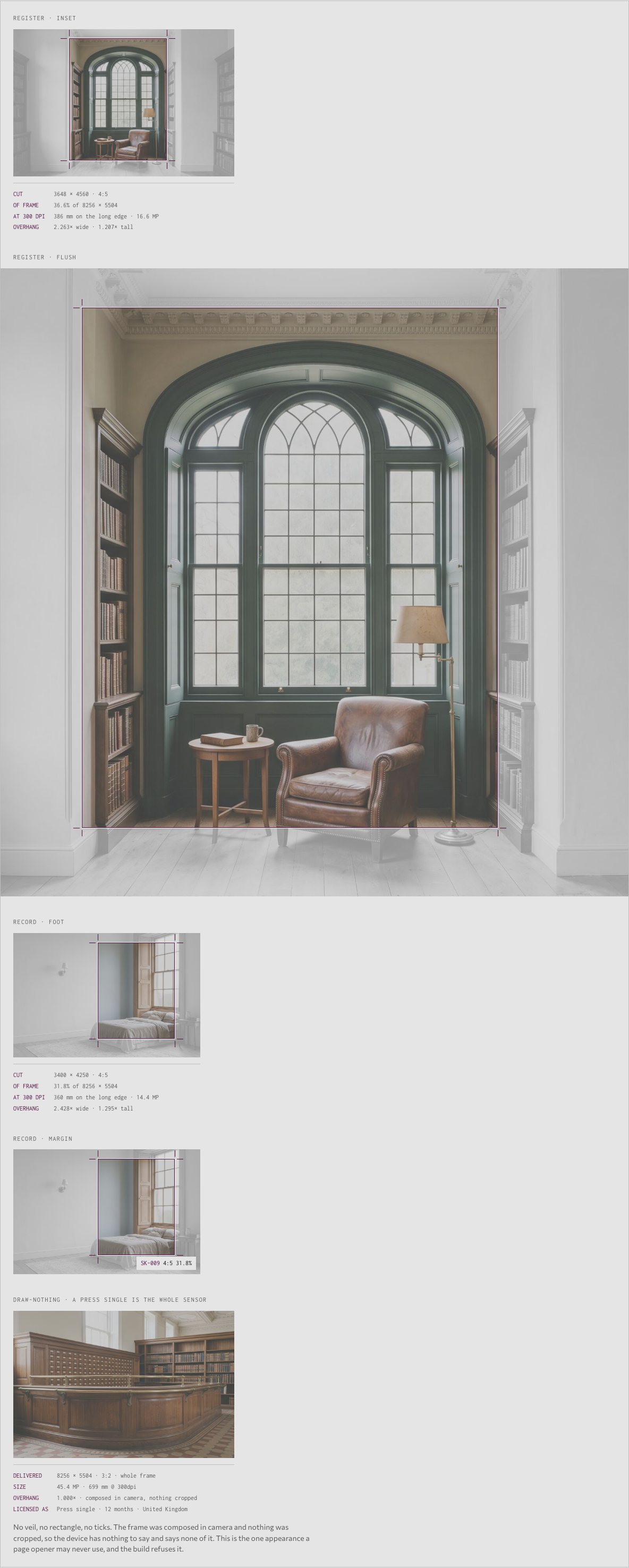 Bellows photography portfolio template Next.js — ui/cut component