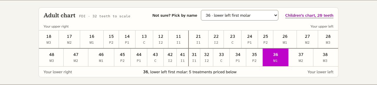 Quadrant dental website template Next.js — chart-index component