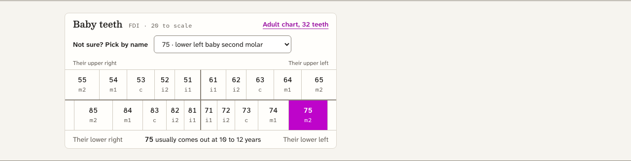 Quadrant dental website template Next.js — children-chart component