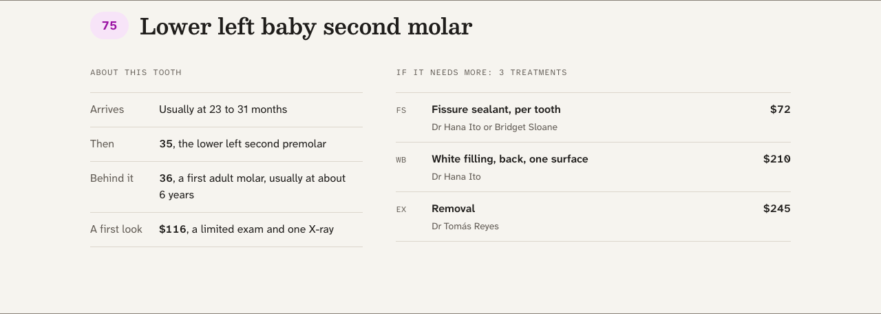 Quadrant dental website template Next.js — children-readout component