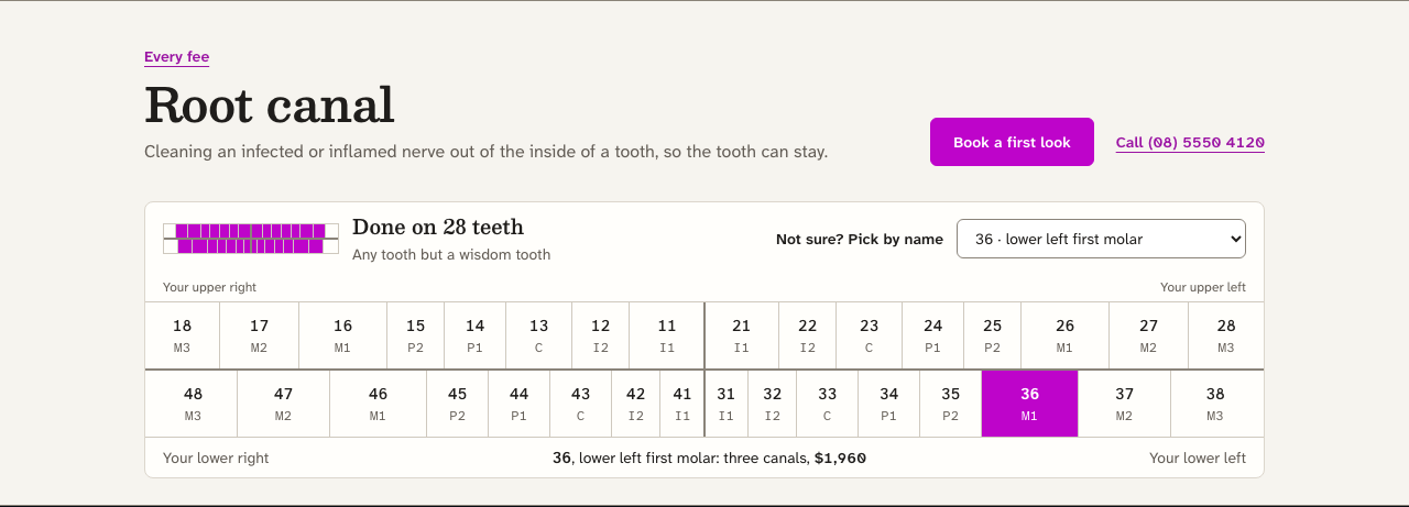 Quadrant dental website template Next.js — treatment-chart component