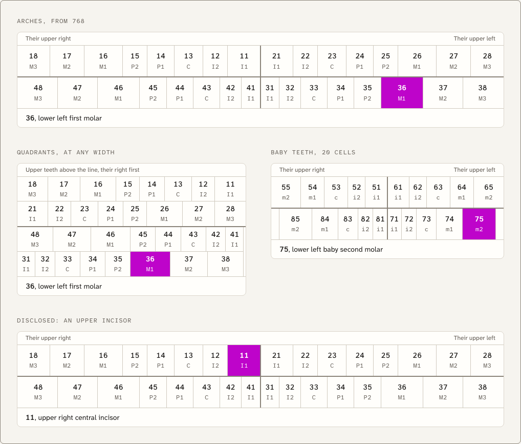 Quadrant dental website template Next.js — ui/tooth-chart component