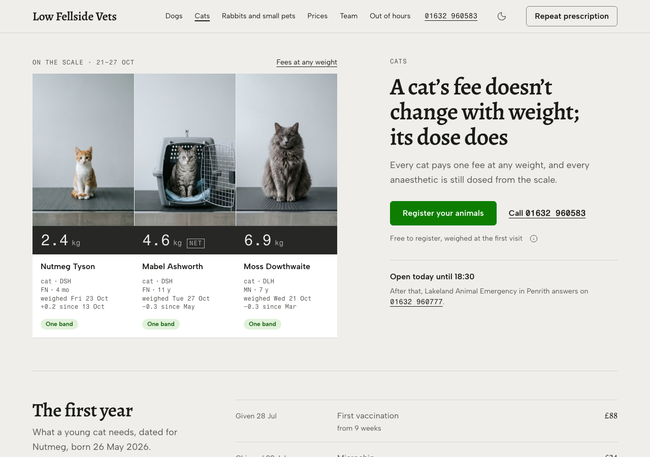 Tare veterinary clinic Tailwind template — Cats page