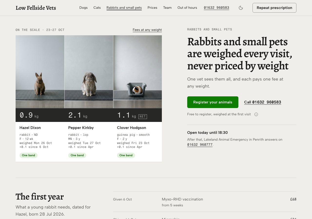 Tare veterinary clinic Tailwind template — Rabbits and small pets page