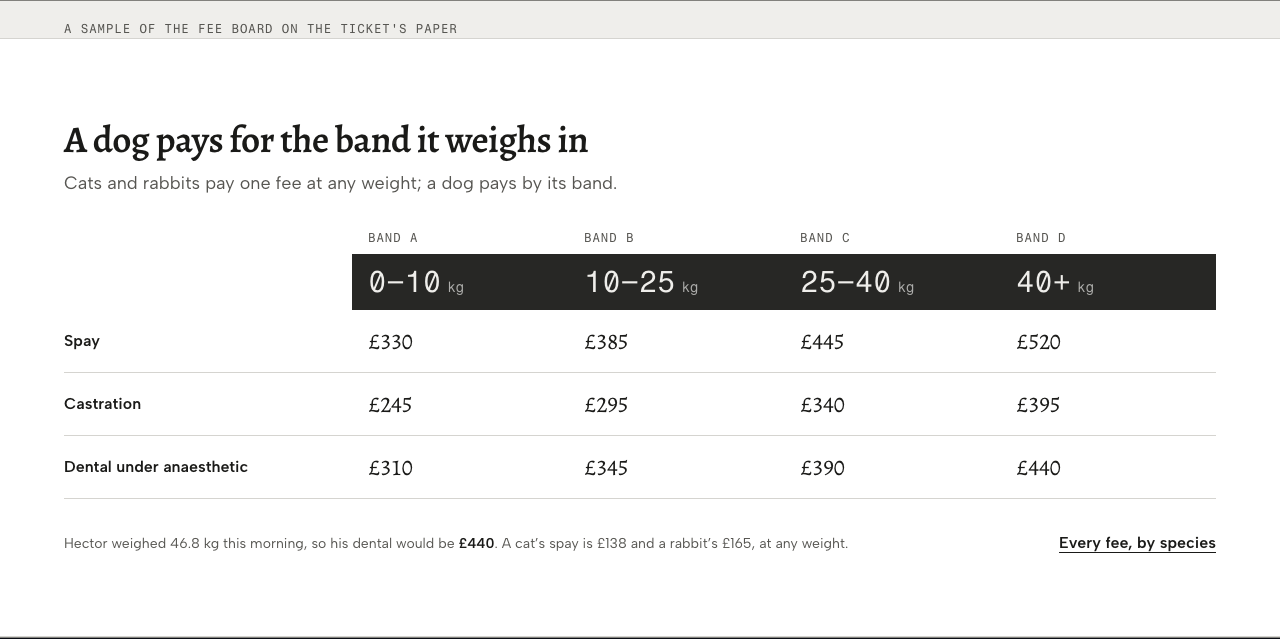 Tare veterinary clinic Tailwind template — band-sample component