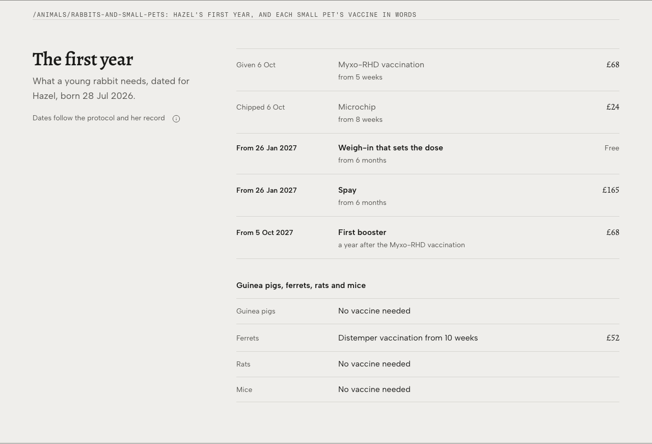 Tare veterinary clinic Tailwind template — first-year component