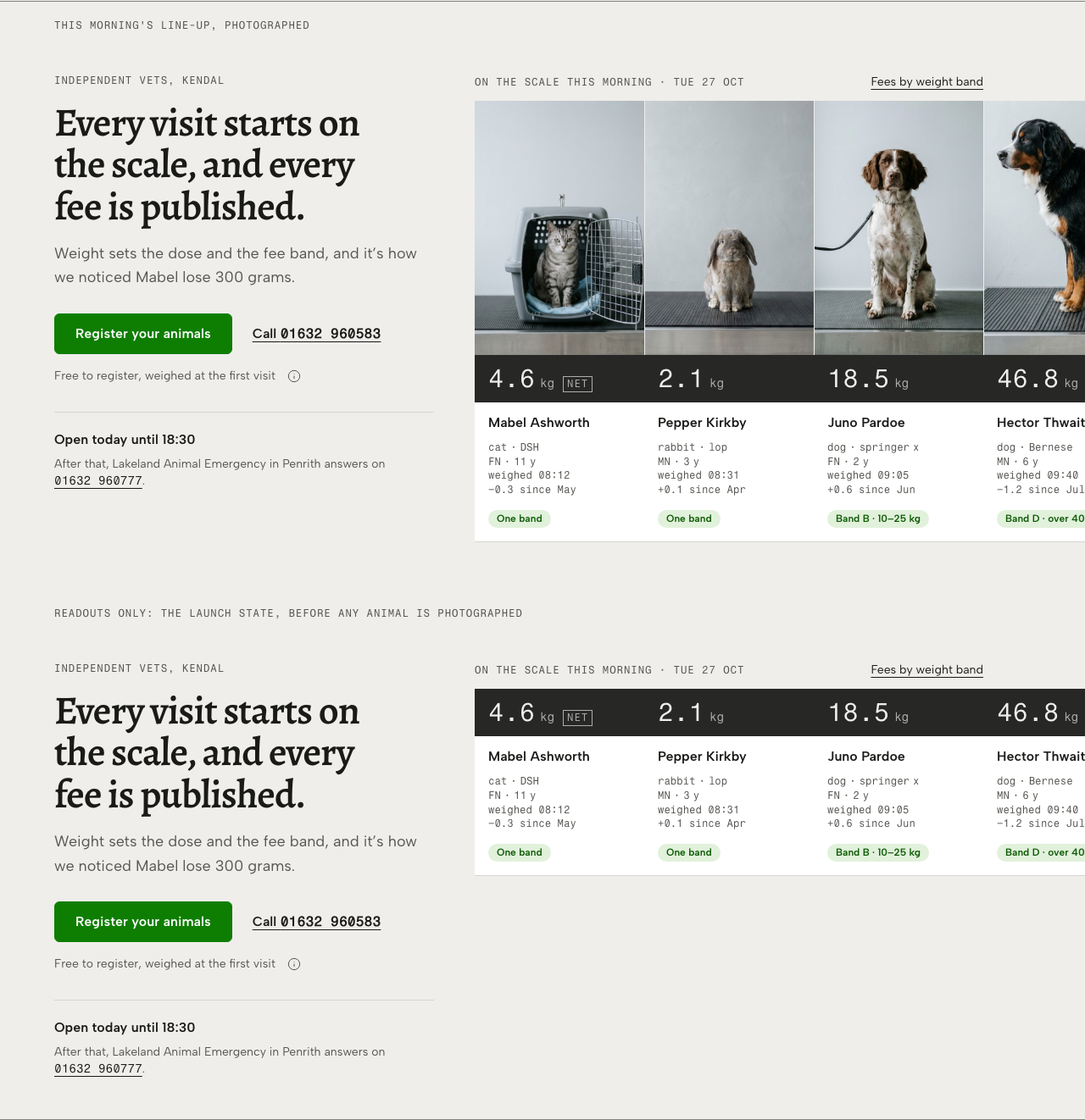 Tare veterinary clinic Tailwind template — hero component