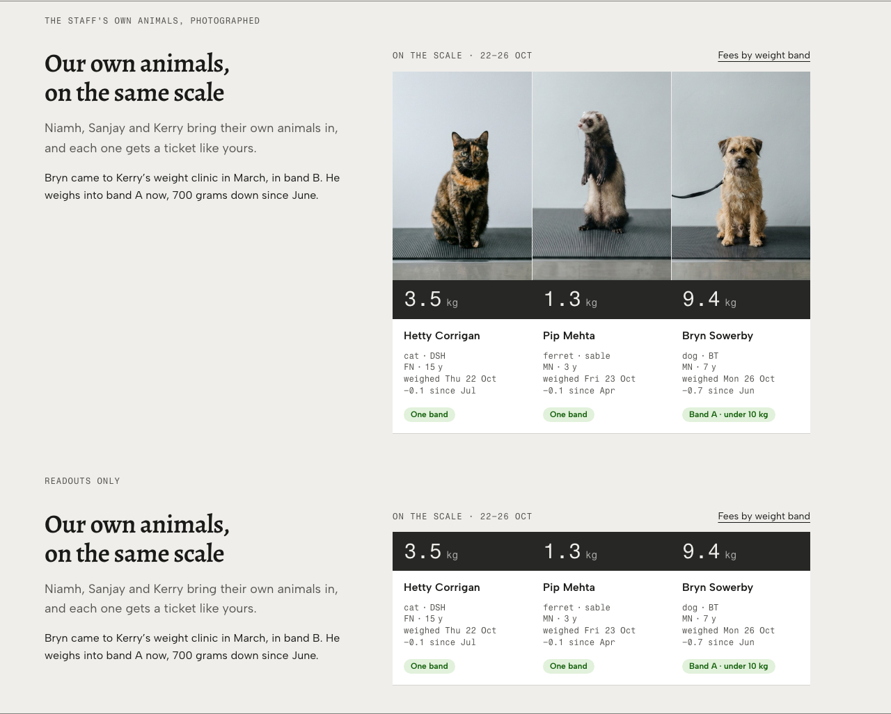 Tare veterinary clinic Tailwind template — team-animals component