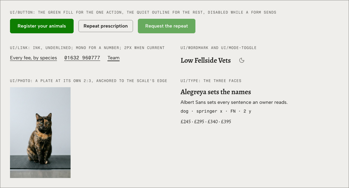 Tare veterinary clinic Tailwind template — ui/* · 7 more primitives component