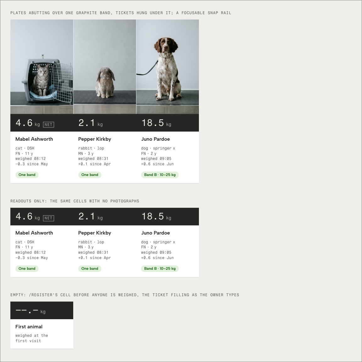 Tare veterinary clinic Tailwind template — ui/platform component