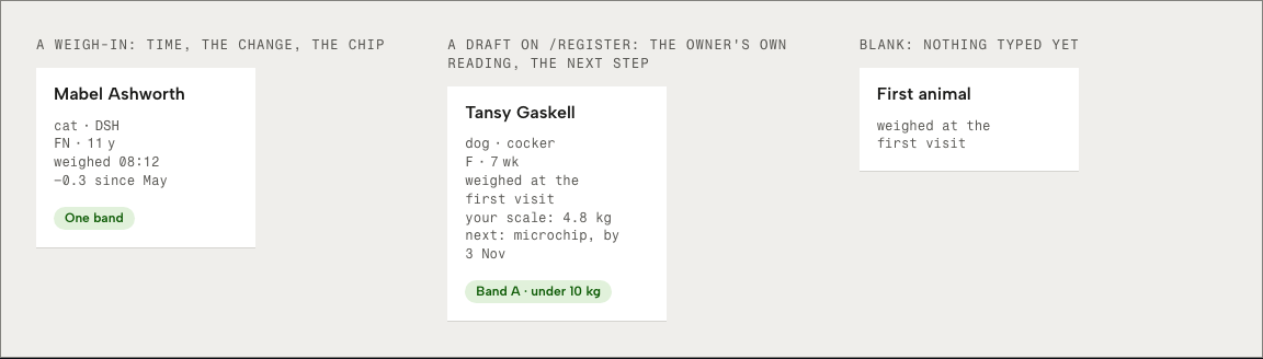 Tare veterinary clinic Tailwind template — ui/ticket component
